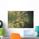 American Saltwater Crocodile Mangrove Right Jaw Wall Decal