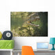 American Saltwater Crocodile Mangrove Right Jaw Wall Decal