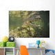 American Saltwater Crocodile Mangrove Right Jaw Wall Decal
