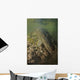 American Saltwater Crocodile Mangrove Wall Decal