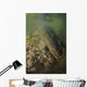 American Saltwater Crocodile Mangrove Wall Decal