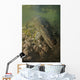 American Saltwater Crocodile Mangrove Wall Decal