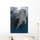 Whale Shark Swimming up with Fish Wall Decal