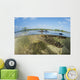 American Saltwater Crocodile Mangrove Water Surface Wall Decal