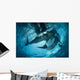 Pair Whale Sharks Swimming Light Wall Decal