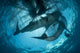 Pair Whale Sharks Swimming Light Wall Decal