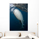 Large Whale Shark Coming Right Side Wall Decal