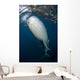 Large Whale Shark Coming Right Side Wall Decal