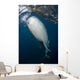 Large Whale Shark Coming Right Side Wall Decal