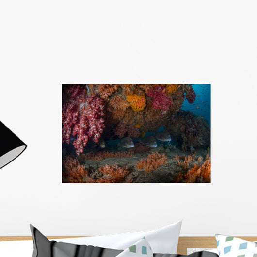 Sweetlip Fish Hiding underneath Wall Decal