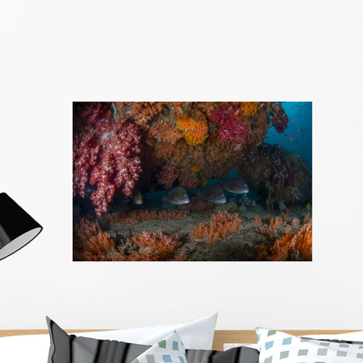 Sweetlip Fish Hiding underneath Wall Decal
