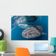 Pair Whale Sharks Barrelling Wall Decal