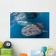 Pair Whale Sharks Barrelling Wall Decal