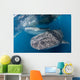 Pair Whale Sharks Barrelling Wall Decal