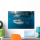 Massive Whale Shark Swimming Wall Decal