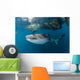 Massive Whale Shark Swimming Wall Decal