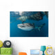 Massive Whale Shark Swimming Wall Decal