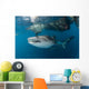 Massive Whale Shark Swimming Wall Decal