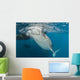 Large Whale Shark Siphoning Horizontal Wall Decal
