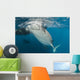 Large Whale Shark Siphoning Horizontal Wall Decal