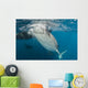 Large Whale Shark Siphoning Horizontal Wall Decal