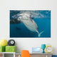 Large Whale Shark Siphoning Horizontal Wall Decal