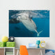 Large Whale Shark Siphoning Horizontal Wall Decal