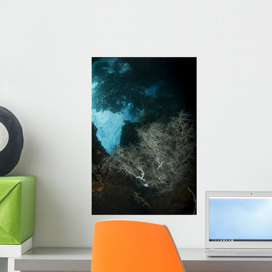 White Black Coral Bush Wall Decal