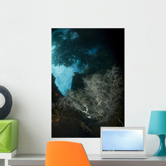 White Black Coral Bush Wall Decal