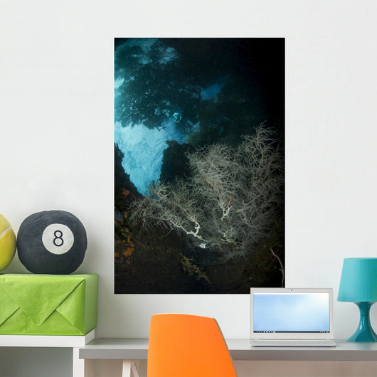 White Black Coral Bush Wall Decal
