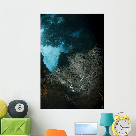 White Black Coral Bush Wall Decal