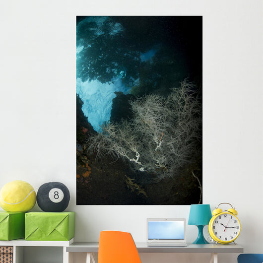 White Black Coral Bush Wall Decal