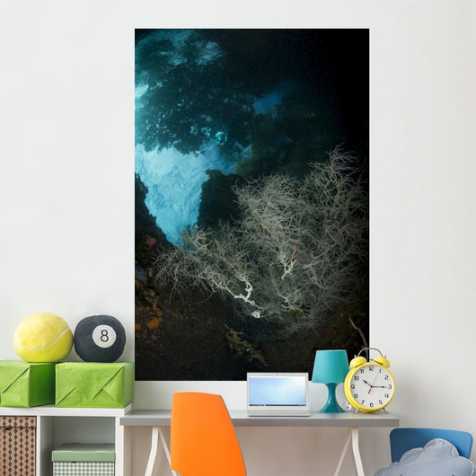 White Black Coral Bush Wall Decal