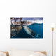 Large Whale Shark Siphoning Wall Decal