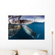 Large Whale Shark Siphoning Wall Decal