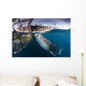 Large Whale Shark Siphoning Wall Decal