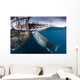 Large Whale Shark Siphoning Wall Decal