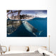 Large Whale Shark Siphoning Wall Decal