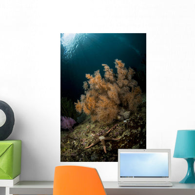 Orange Black Coral Bush Wall Decal shown on a wall