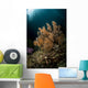 Orange Black Coral Bush Wall Decal