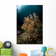 Orange Black Coral Bush Wall Decal