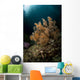 Orange Black Coral Bush Wall Decal