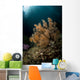 Orange Black Coral Bush Wall Decal