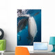 Large Whale Shark Coming with Divers Wall Decal