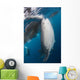 Large Whale Shark Coming with Divers Wall Decal