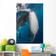 Large Whale Shark Coming with Divers Wall Decal