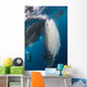 Large Whale Shark Coming with Divers Wall Decal