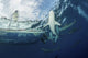 School Silky Sharks under Wall Decal