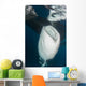 Large Whale Shark Coming Mouth Open Wall Decal