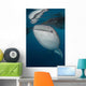 Large Whale Shark Coming Vertical Wall Decal